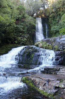 The Catlins